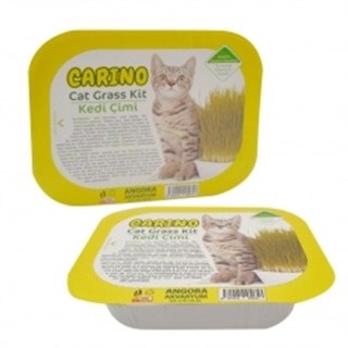 Carino Gerçek Topraklı Kedi Çimi (Fileli)
